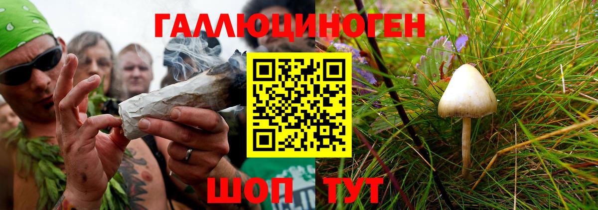 Псилоцибиновые грибы мухоморы Сокол